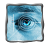 Surveillance